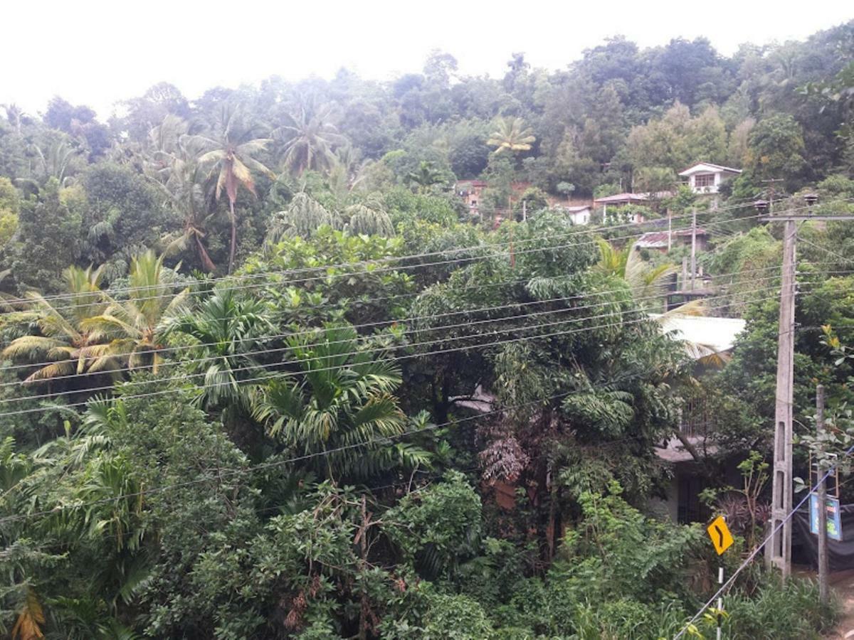 Greenwood Kandy Homestay Exterior foto