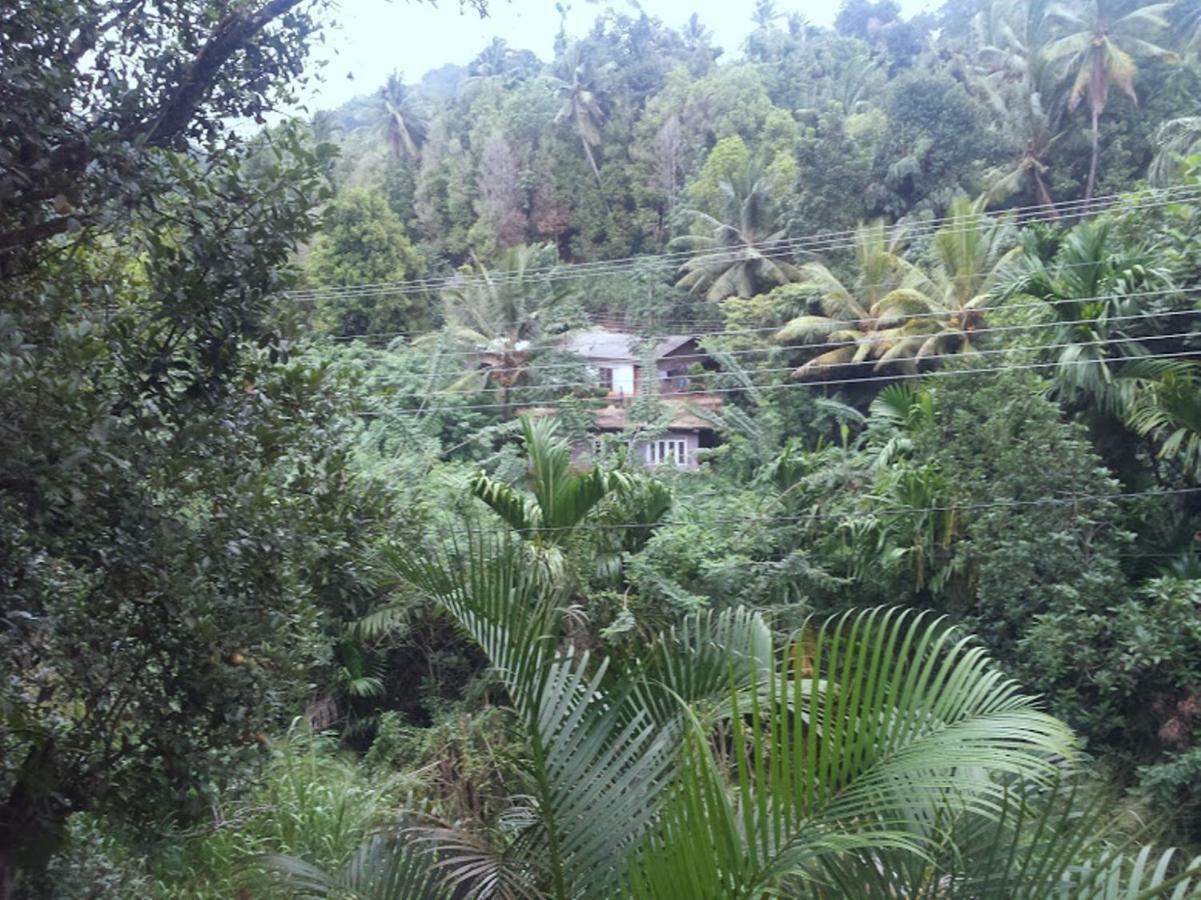 Greenwood Kandy Homestay Exterior foto